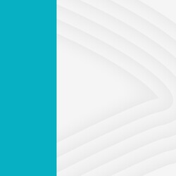 CRP SP divulga informações sobre prazo para análise de requerimentos