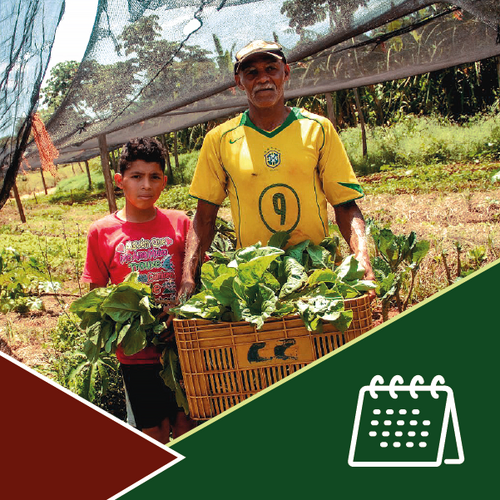 30 de Novembro - Dia do Estatuto da Terra - Colonização, Lei de Terras, Estatuto da Terra e Especulação Imobiliária