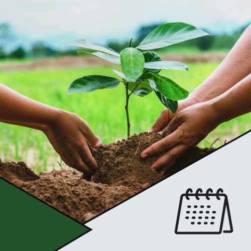 05 de junho - Dia Mundial do Meio Ambiente: é hora de agir!