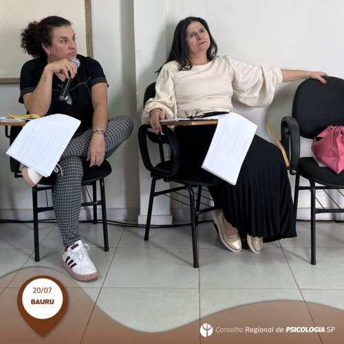 XVII Plenário realiza plenária ordinária na Subsede Bauru