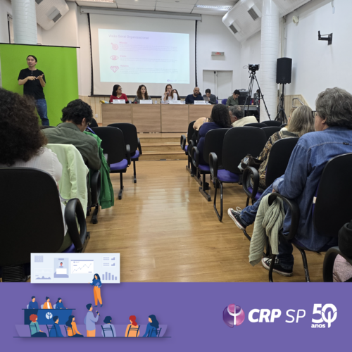 CRP SP realiza Assembleia Orçamentária e define propostas para o exercício 2025