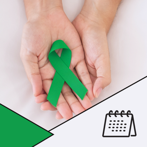 Setembro Verde: mês da visibilidade e luta pelos direitos das pessoas com deficiência (PcD)