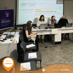 XVII Plenário realiza plenária ordinária na Subsede Campinas