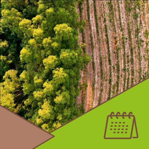 30 de novembro - Dia do Estatuto da Terra